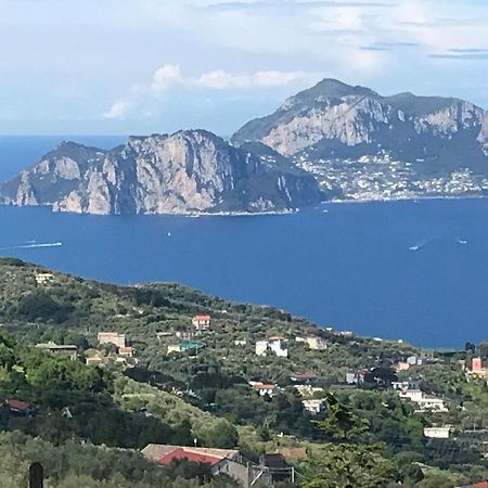 Resort Ferrara Villa Multa Quies Massa Lubrense Eksteriør bilde