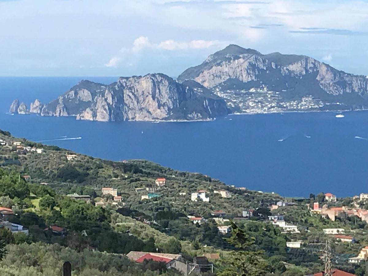 Resort Ferrara Villa Multa Quies Massa Lubrense Eksteriør bilde